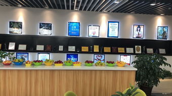 看準(zhǔn)網(wǎng)