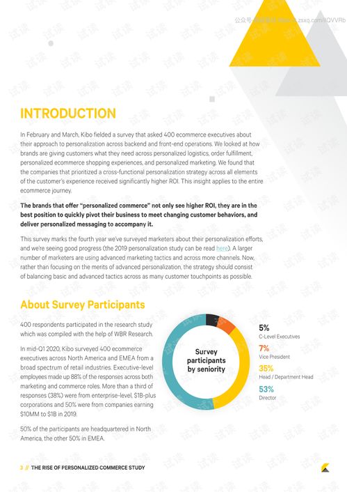 kibo 電子商務個性化營銷調查 英文 2020.5 11頁精品報告.pdf